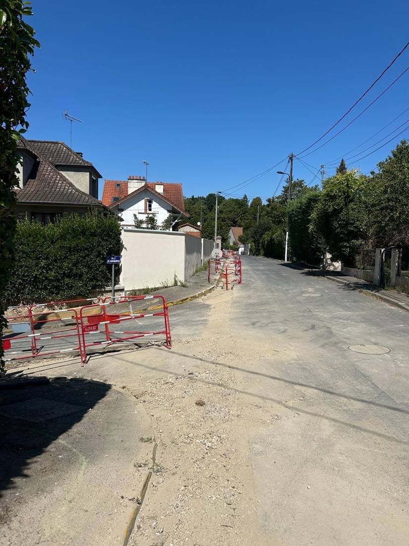 Rue du Pont Chardon pendant les travaux